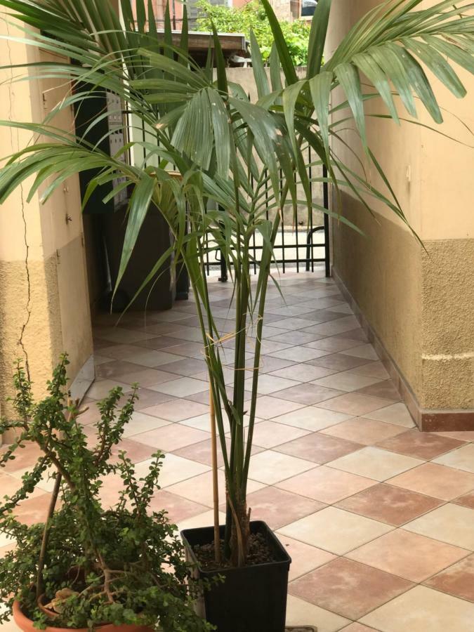 Garden Carras Apartment Nice Exterior photo